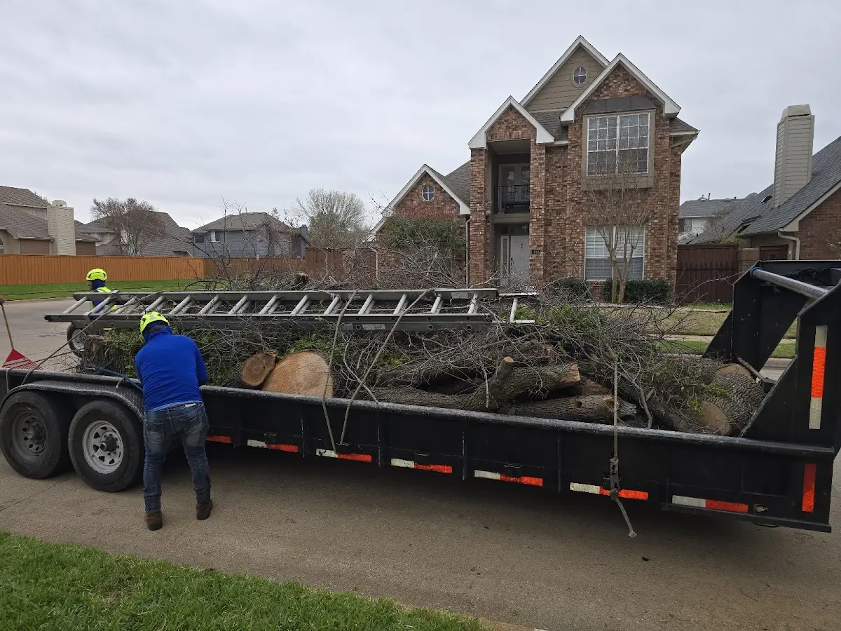 Expert Lot Clearing with proper safety equipment in Oak Forest